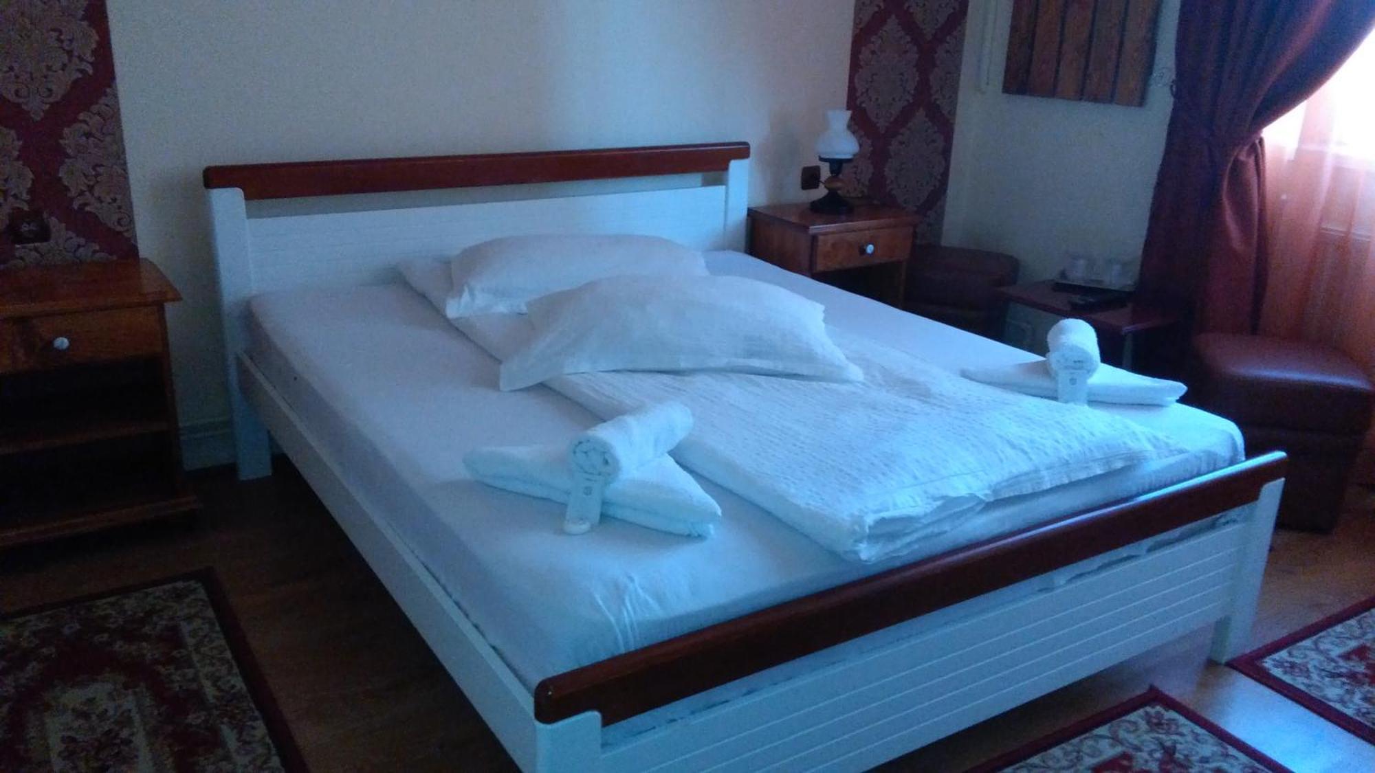 Hotel Vila Nicoleta Sibiu Exteriér fotografie