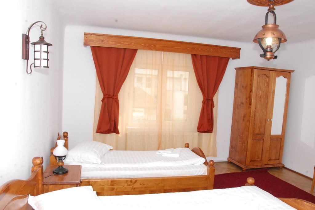Hotel Vila Nicoleta Sibiu Exteriér fotografie
